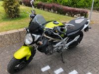 Suzuki Gladius SFV 650 Nordrhein-Westfalen - Iserlohn Vorschau