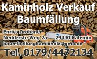 Brennholz Verkauf Herzogtum Lauenburg - Lauenburg Vorschau