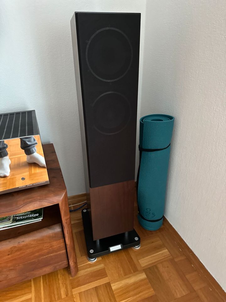 Tannoy revolution xt 6f Walnuss in Steinheim