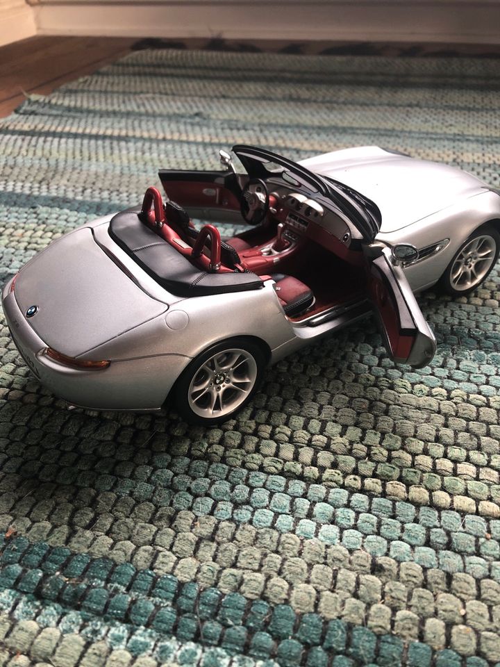 BMW Z8 KYOSHO in Hohn