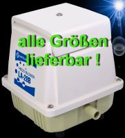 MEDO NITTO LA-28B KOMPRESSOR f. Aquarium Gartenteich Biogasanlage Hessen - Stadtallendorf Vorschau