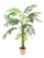 Areca Palme, 3-stämmig, Kunstpflanze, 210cm Kunstpalme #82509457R Bayern - Jettenbach Vorschau