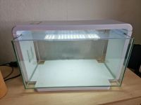 25 Liter Aquarium von Superfish Schleswig-Holstein - Lohbarbek Vorschau