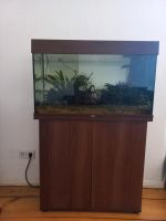 Aquarium Juwrl Rio 125l - mit Besatz und Zubehör Pankow - Prenzlauer Berg Vorschau