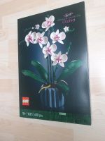 NEU LEGO Botanical Collection - Orchidee 10311 Bayern - Augsburg Vorschau