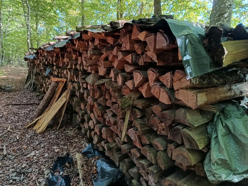 Brennholz (Fichte/Kiefer/Tanne) trocken 1m Scheite 75 pro Ster in Limbach