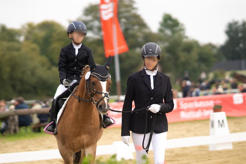 Deutsches Reitpony, Springpony, Fuchs, Wallach in Falkenberg