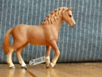 Schleich Pferd Quarter Horse Stute 13852 Horse Club Mecklenburg-Vorpommern - Tützpatz Vorschau