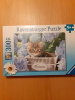 Puzzle süße Katzen, 300 Teile, neu Leipzig - Möckern Vorschau