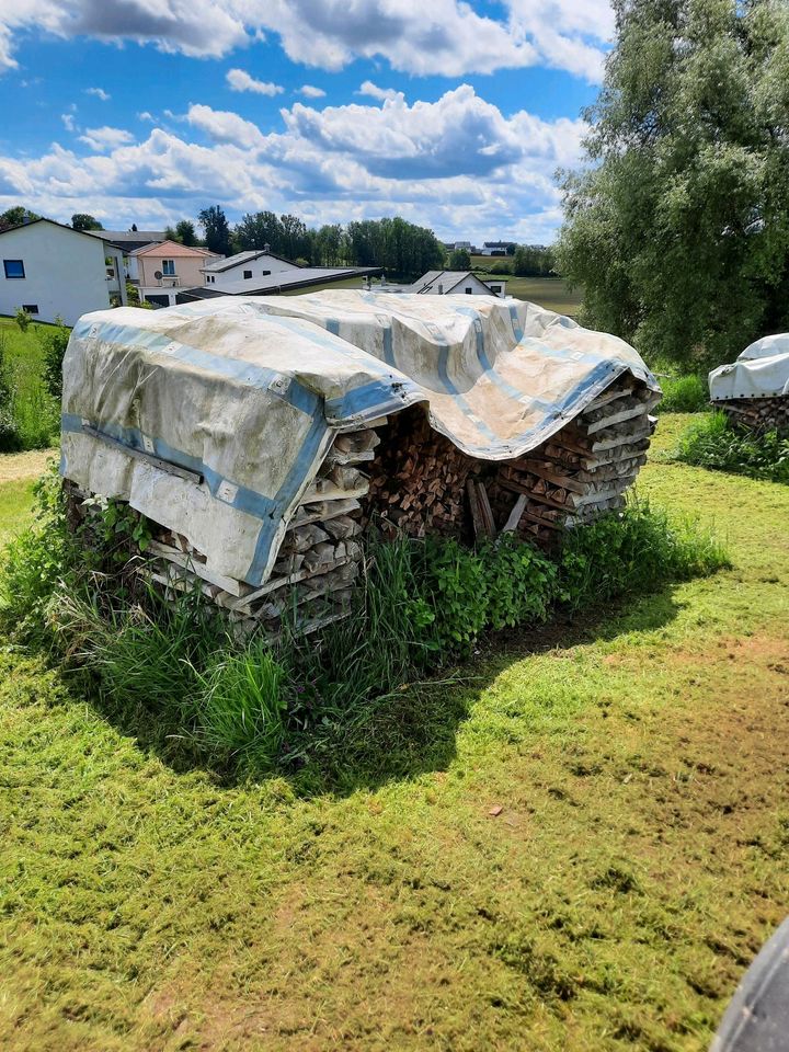 Brennholz Esche Fichte in Vöhringen