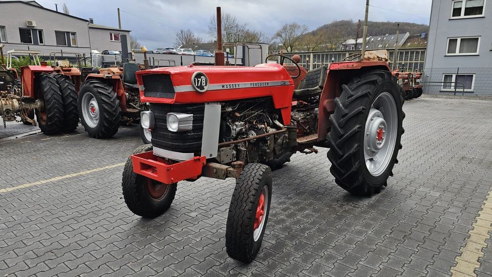 Massey Ferguson  178 in Wuppertal