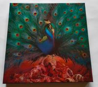 Box Opeth - Sorceress Rosewood Vinyl + DoCD + DVD Aachen - Aachen-Haaren Vorschau