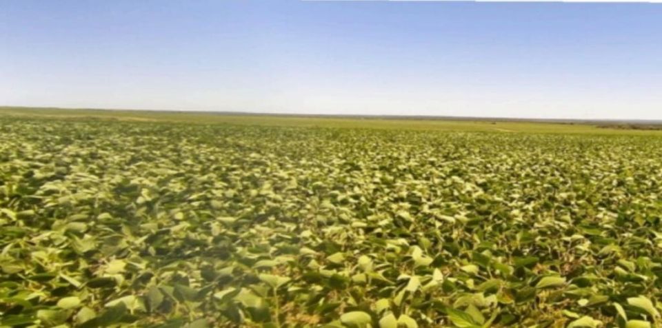 10.000 ha Grundstück mit 2 Häuser und vieles mehr in Caaguazu in Zossen-Zesch am See