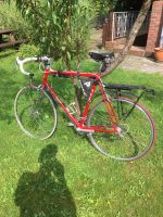 Stevens  Rennrad Reiserad Retro Vintage Gravelbike? Nordrhein-Westfalen - Laer Vorschau