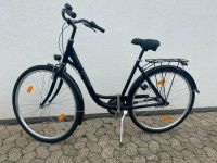 Fahrrad Excelsior  Road Cruiser  28 Zoll Niedersachsen - Giesen Vorschau