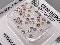 1,02ct Brillanten Gem Report Antwerpen GRA natürliche Diamant-en Nordrhein-Westfalen - Herne Vorschau