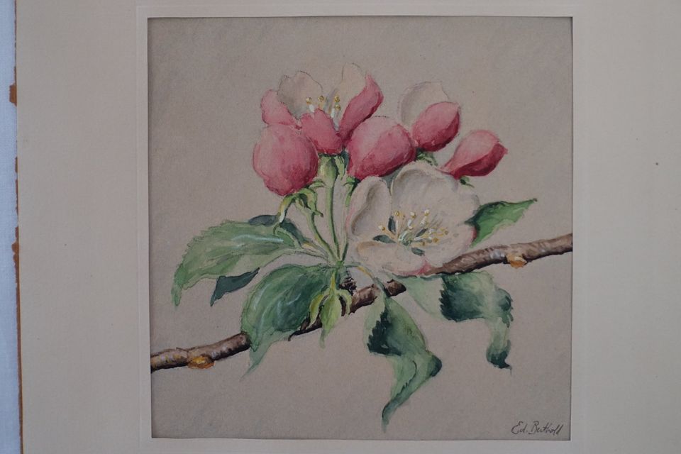 Aquarellbild "Kirschblüte" 1920er Jahre Holzrahmen in Dreieich