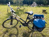 Kalkhoff Damen Fahrrad 28 zoll Nordrhein-Westfalen - Hopsten Vorschau