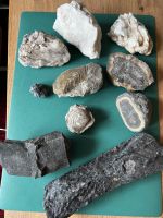 Steinsammlung, Mineralien Nordrhein-Westfalen - Gladbeck Vorschau