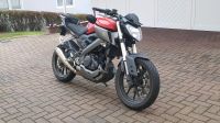 Yamaha MT 125 , Radical Racing Hessen - Borken Vorschau