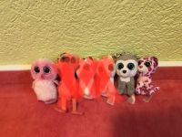 Kleine Anhänger von Ty, Hatchimal, Ayumi, Glubschis Baden-Württemberg - Kieselbronn Vorschau