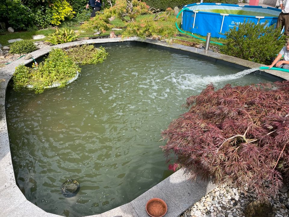 Teichbau Teichfolie Verschweißen Schwimmteich Poolbau Poolfolie in Dorsten