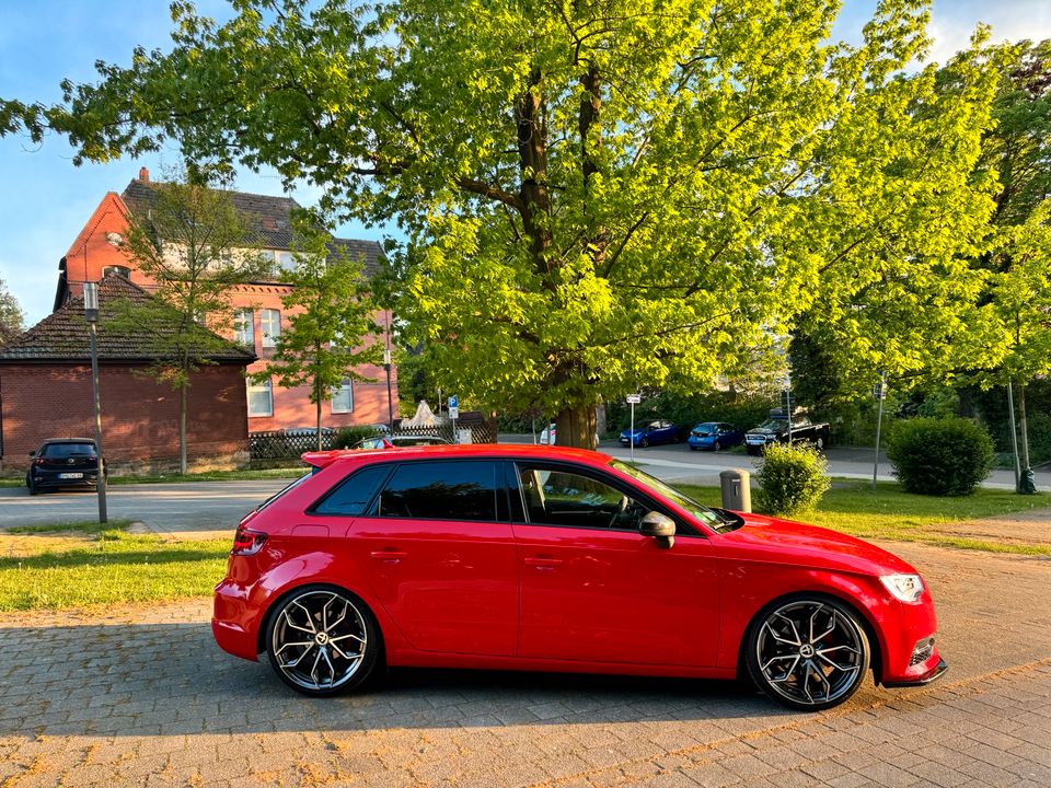 Audi A3 2.0 TDI in Rodenberg