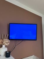 TV Toshiba 24 Zoll inkl. Sat-Receiver Bad Doberan - Landkreis - Kühlungsborn Vorschau