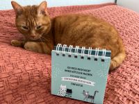 Sprüche Ständer Tischkalender Katze Freiburg im Breisgau - Wiehre Vorschau