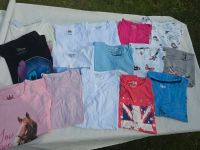 T-Shirt Paket Gr. 146/152 Sachsen - Geringswalde Vorschau