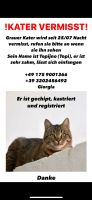 Getigerter Kater vermisst Nordrhein-Westfalen - Willich Vorschau