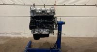 Ford Transit 2.0 TDCI YNF6 General Uberholt motor Nordrhein-Westfalen - Gronau (Westfalen) Vorschau