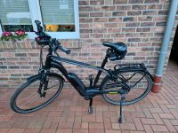 E BIKE KETTLER ALU RAD ESCARO Niedersachsen - Friesoythe Vorschau