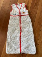 Leichter Schlafsack von Alana, 110cm Altona - Hamburg Altona-Nord Vorschau