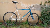 Giant Singlespeed Fahrrad 26" Cityracer Dresden - Neustadt Vorschau