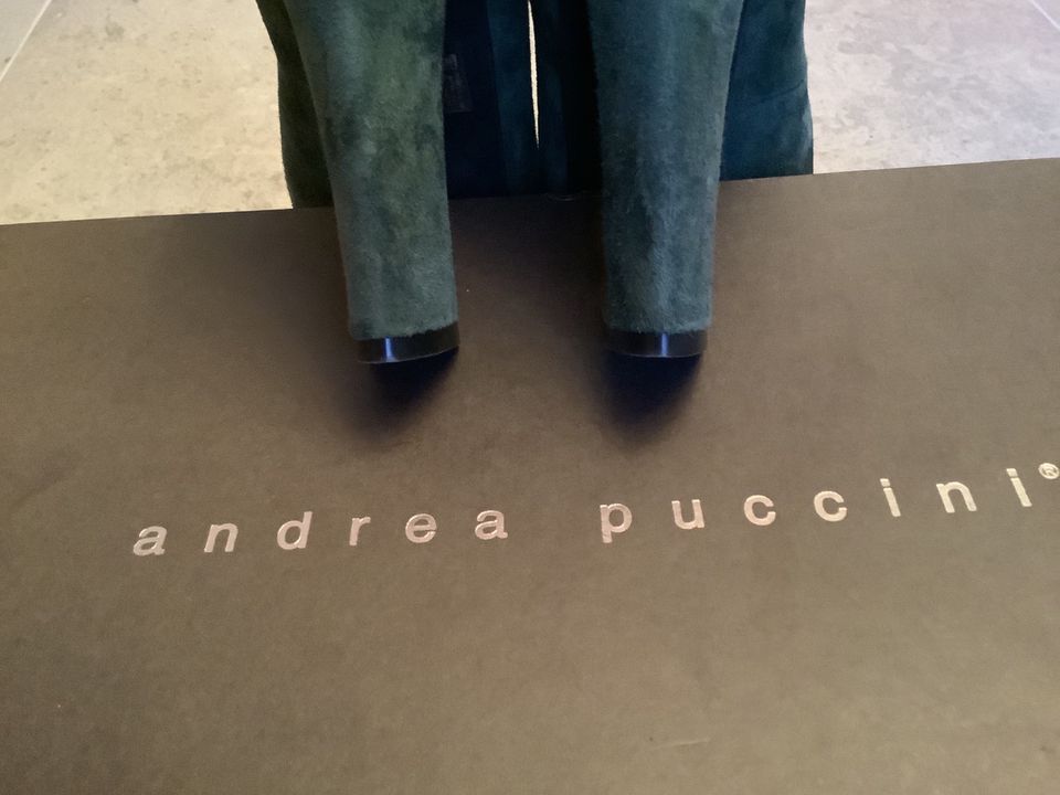 Andrea Puccini, Wildleder, Leder,Pumps, Plateau Schuhe, 70er Stil in Dortmund