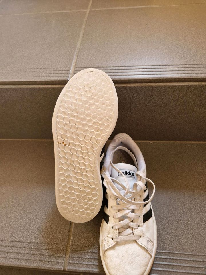 Adidas Sneaker Halbschuhe Gr. 36 in Greding