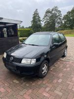 VW POLO 6n2 Niedersachsen - Großheide Vorschau