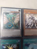 Yu-Gi-Oh Antiker Feendrache Rare und Secret Rare Brandenburg - Brandenburg an der Havel Vorschau