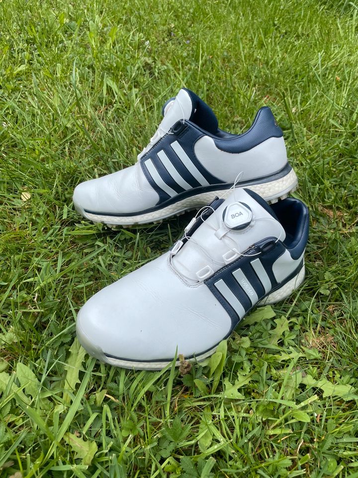 Adidas Golf Schuh Boa 43,5 wie neu in Wedemark
