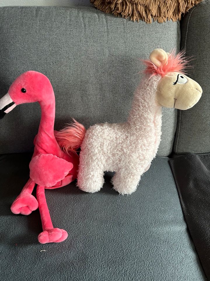 Lama mit Bluetooth-Lautsprecher Flamingo plappert nach in Mühlheim am Main