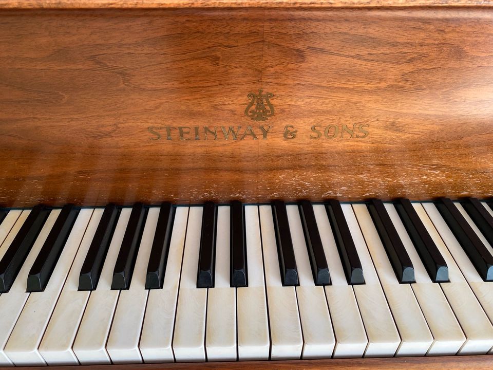 Steinway&Sons Flügel S 155 in Hachenburg