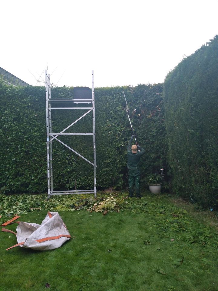 Rollrasen Gartenarbeit Gärtner Heckenschneiden umgraben fräsen in Essen