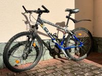 BULLS AL 100 XCT MTB 26“ MTB Mountainbike Hessen - Hofheim am Taunus Vorschau
