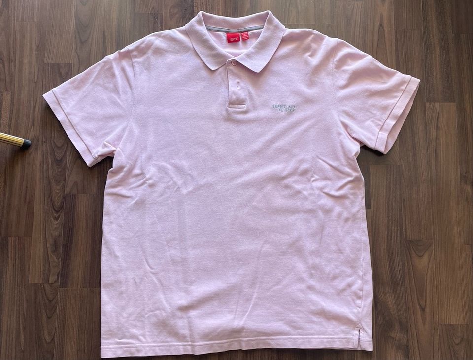 Esprit Herren Polo Shirt kurzärmelig Rosa - Gr. XL in München