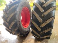 Michelin Multibib 650/65R38 Baden-Württemberg - Öhringen Vorschau