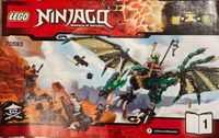 Lego Ninjago Grüner Drache Rheinland-Pfalz - Münster-Sarmsheim Vorschau