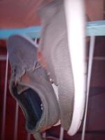 Bugatti Herren Schuhe, SNEAKER Gr.43,olivfarben8 Bayern - Weißenhorn Vorschau