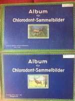 2 Alben Chlorodont Sammelbilder 1932, Säugetiere Reklame Baden-Württemberg - Eberdingen Vorschau