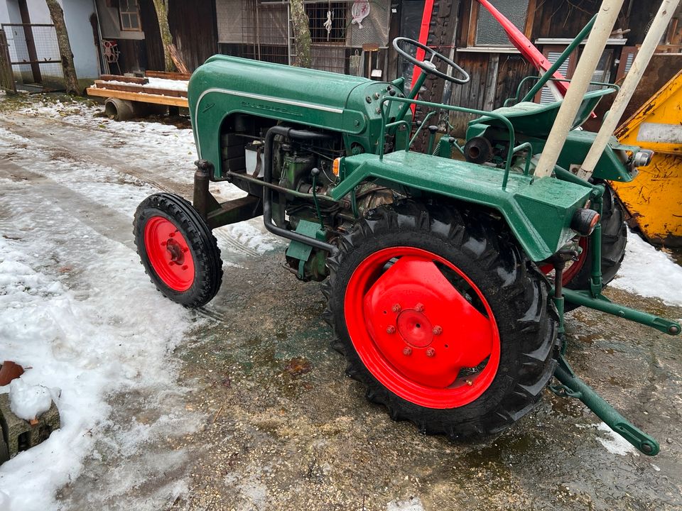 Porsche Allgaier AP16 aus 1 Hand Messerbalken Hydraulik in Wilburgstetten